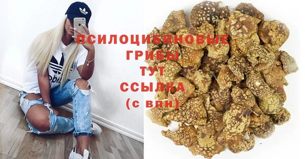 мяу мяу мука Надым