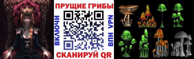 наркотики  Санкт-Петербург  Псилоцибиновые грибы прущие грибы 