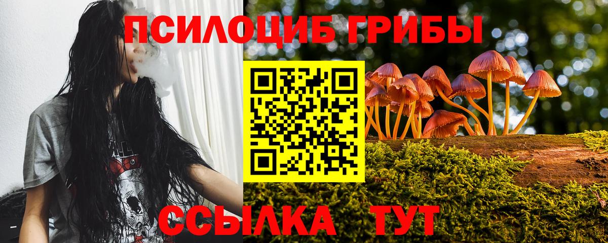 Псилоцибиновые грибы ЛСД  Галлюциногенные грибы Psilocybine cubensis  Вход с VPN  Санкт-Петербург 