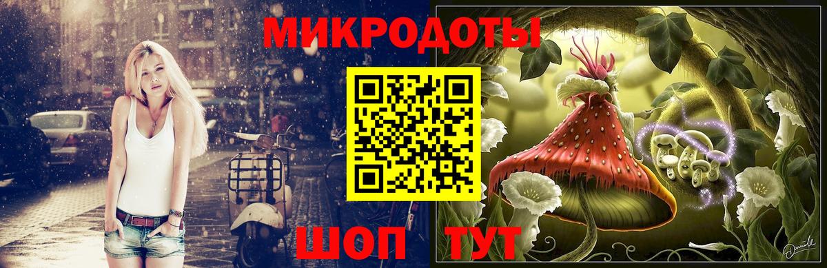 Галлюциногенные грибы Psilocybine cubensis Санкт-Петербург